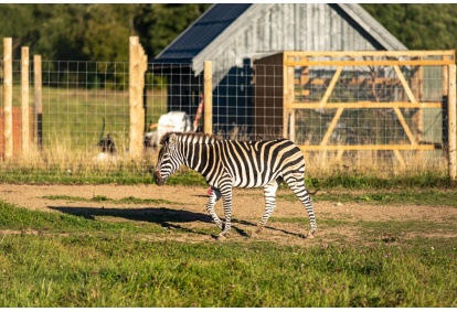 Siguldas ZOO apmeklējums