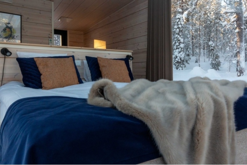 Проживание в номере со стеклянными стенами в отеле Arctic Skylight Lodge.