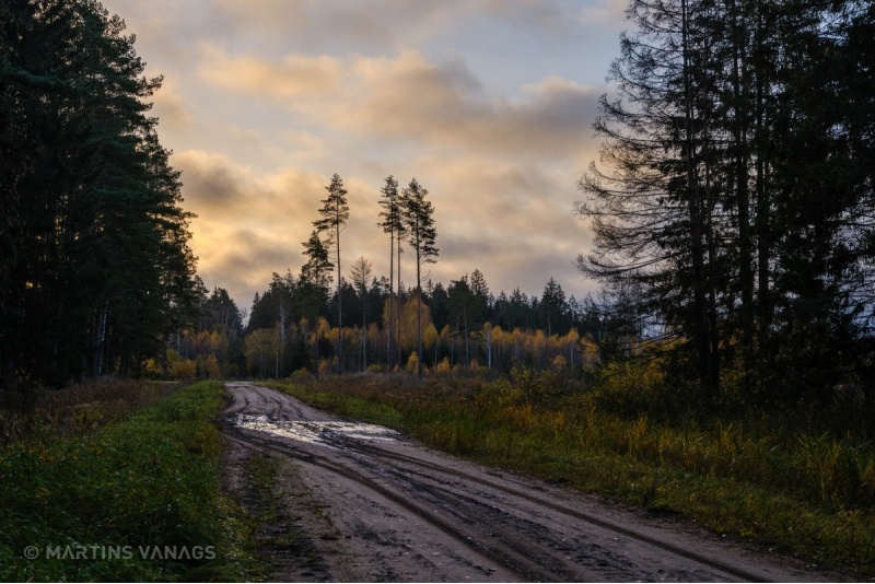 Онлайн-курс "Секреты Академии фотографии" от Fototelpa