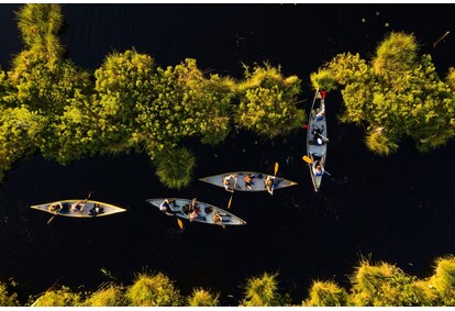 Burvīgs saullēkta vai saulrieta kanoe laivu brauciens Lielajā Ķemeru tīrelī