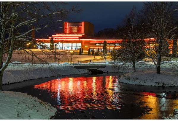 Театральный пакет в Peetrimõisa Villa