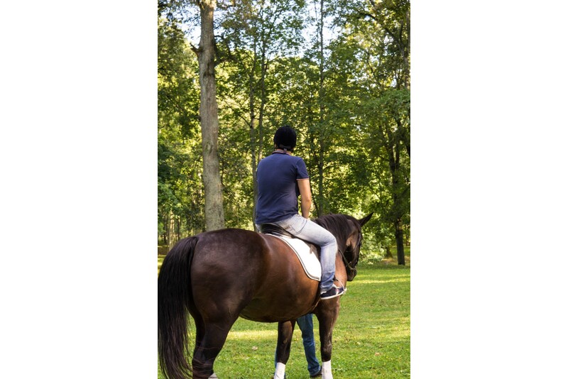 Одноразовое общеоздоровительное занятие верховой ездой "Fit Ride"