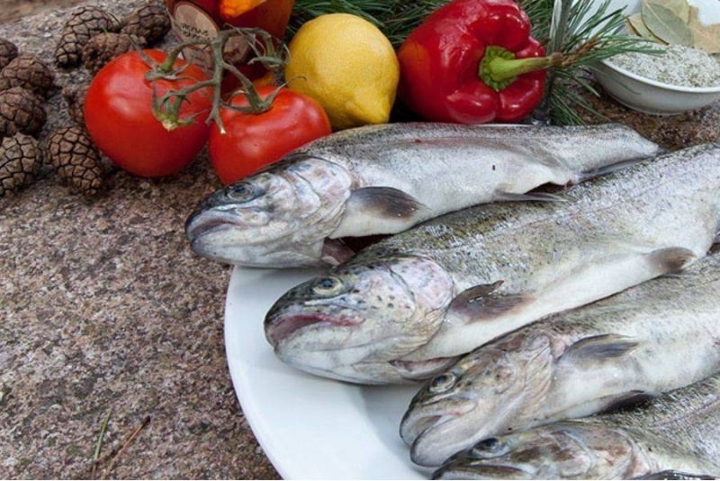 Nakšņošana ar pirti diviem „TonyResort“