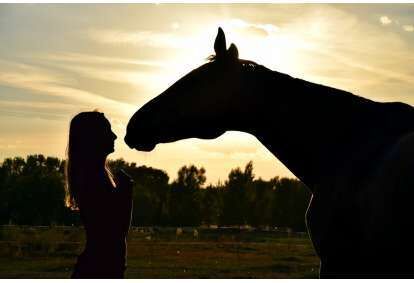 Прогулка на лошадях + фотосессия для двоих