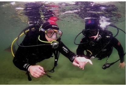 Pažintinis nėrimas su „Divemen“ Vilniuje