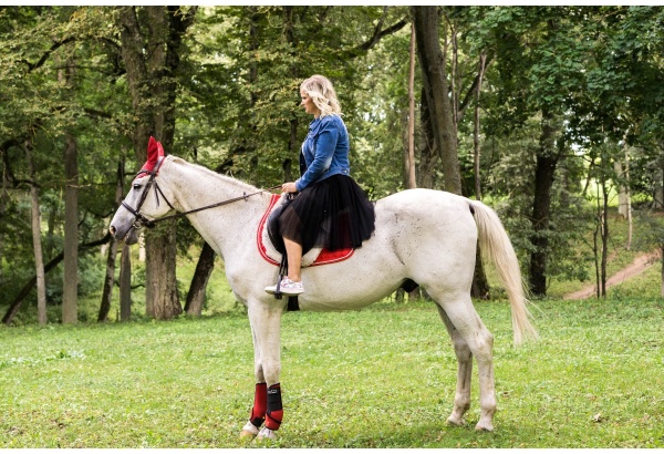 1 занятие лечебной верховой езды  "Fit Ride"