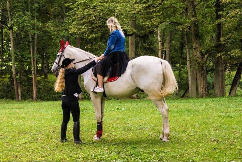 Оздоровительная езда на лошади для лечения нервной системы "Relax Fit Ride"