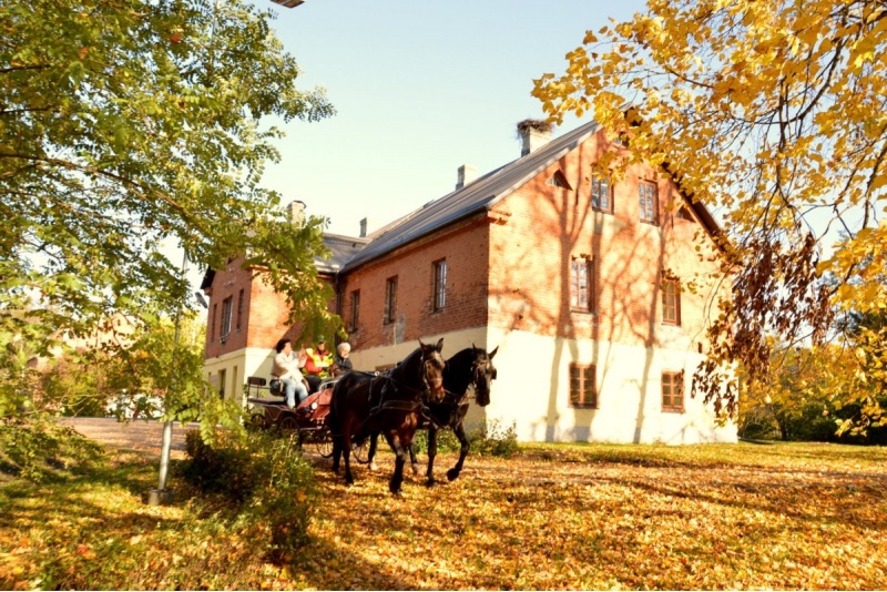 Brauciens zirgu pajūgā "Ekspedīcija pagātnē"