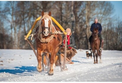 Езда в упряжке на повозке или на санях и пикник в парке "Daugavas loki"