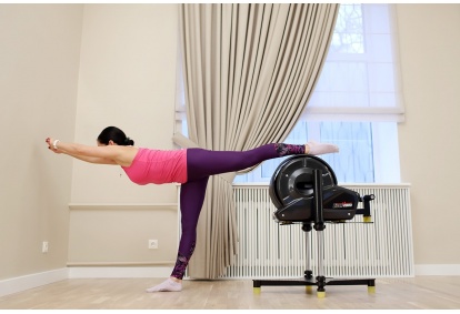 VIBRO FLEX —  индивидуальные уроки на тренажере Bison Vibro